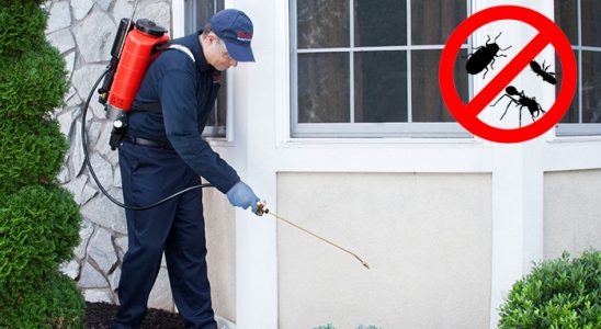 Gündoğmuş Böcek İlaçlama böcek ilaçlama ve haşere kontrolü — ilaclama-tr.com